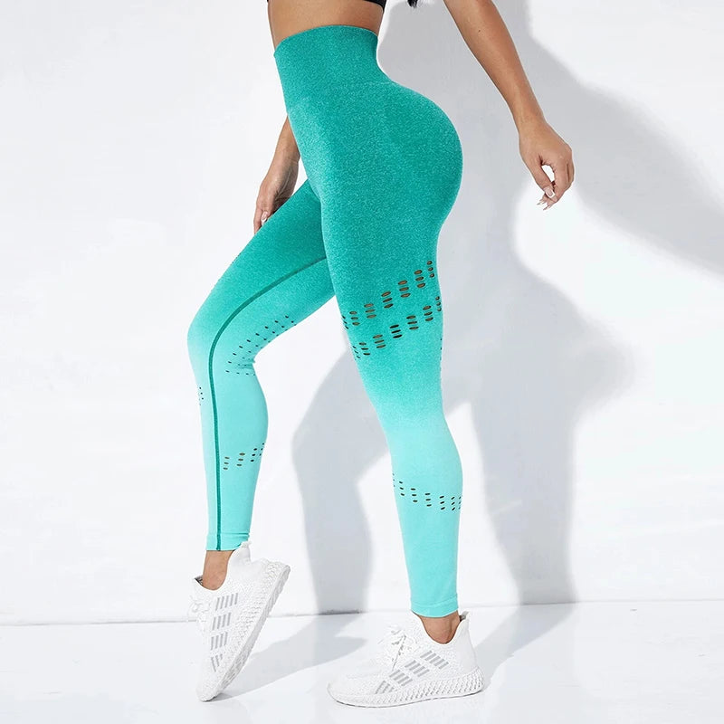 Chic Gradient Mesh Leggings